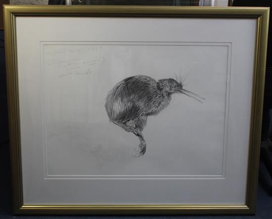 § Raymond Harris-Ching (b.1939) Study of a kiwi, 22 x 29in.